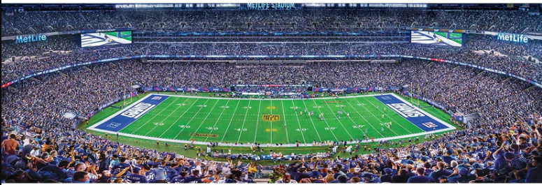 New York Giants Masterpieces 1000 Piece Center View Panoramic Jigsaw Puzzle