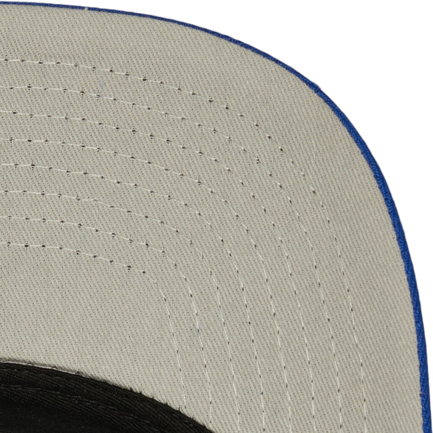 Los Angeles Dodgers Mitchell & Ness Evergreen Cooperstown Pro Crown Snap Back Hat