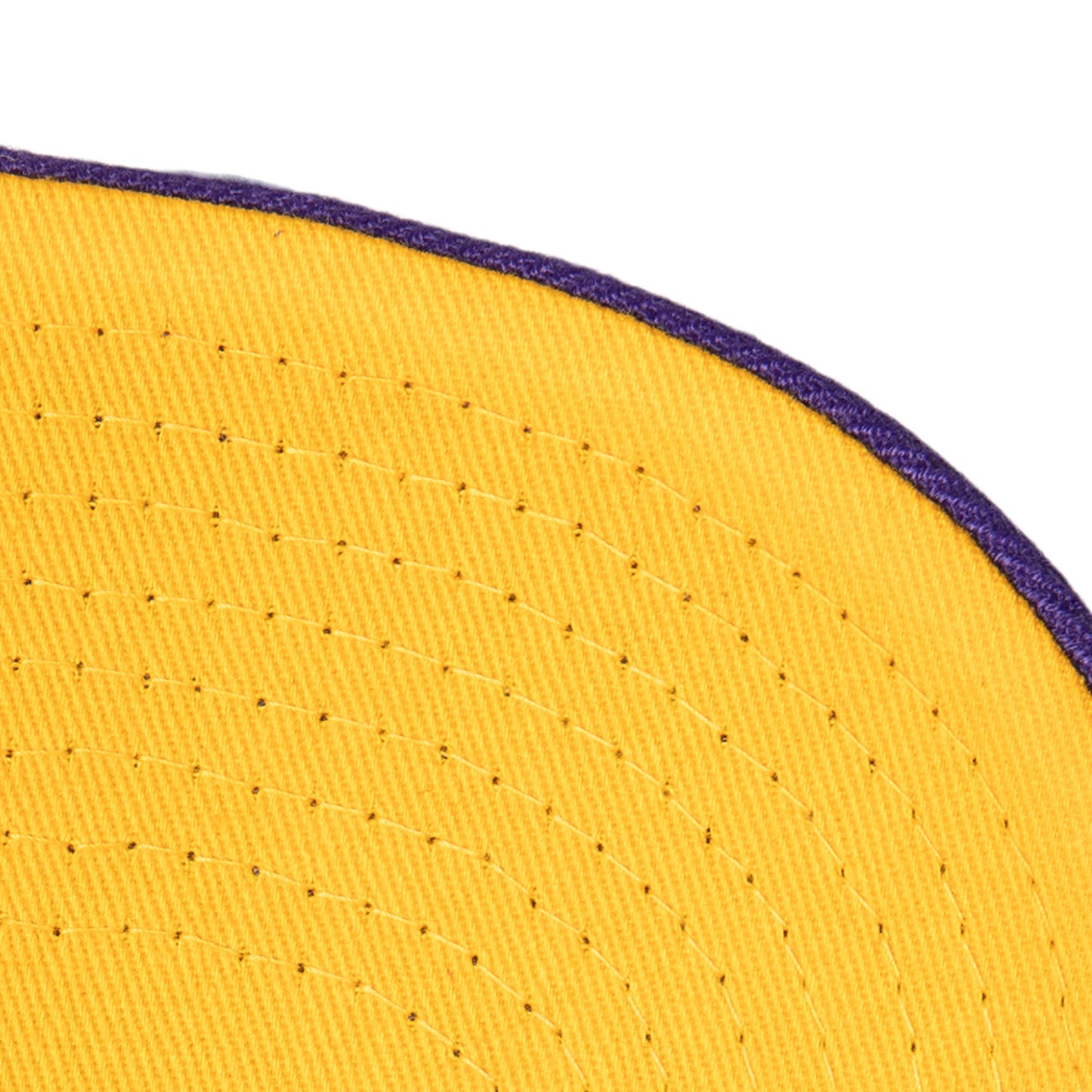 Los Angeles Lakers Mitchell & Ness Panorec Pro Snapback Hat