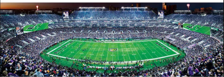 Baltimore Ravens Masterpieces 1000 Piece Center View Panoramic Jigsaw Puzzle