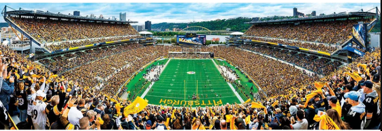 Pittsburgh Steelers Masterpieces 1000 Piece Endzone Panoramic Jigsaw Puzzle