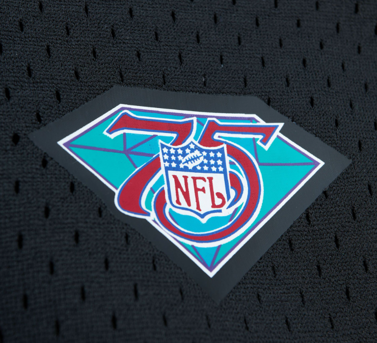 San Francisco 49ers Mitchell & Ness 1994 Steve Young Mesh Jersey
