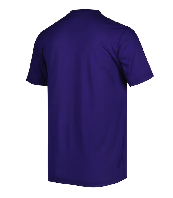 Baltimore Ravens Men's Badge T-shirt- Purple