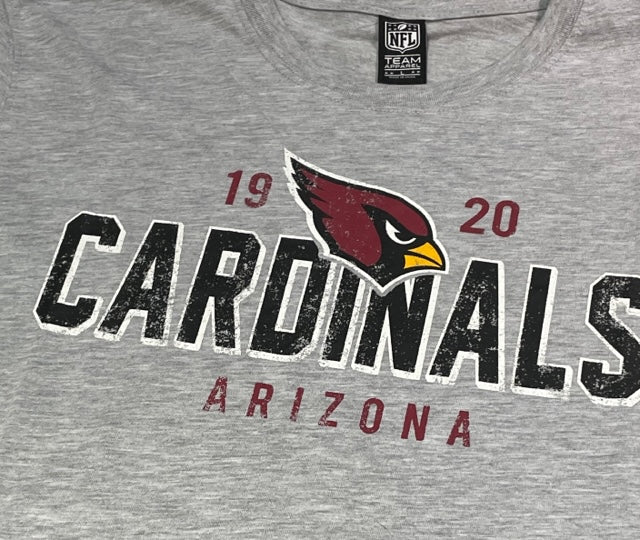 Arizona Cardinals Established 1920 T-Shirt- Gray