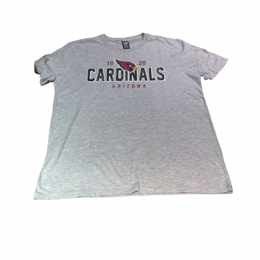 Arizona Cardinals Established 1920 T-Shirt- Gray
