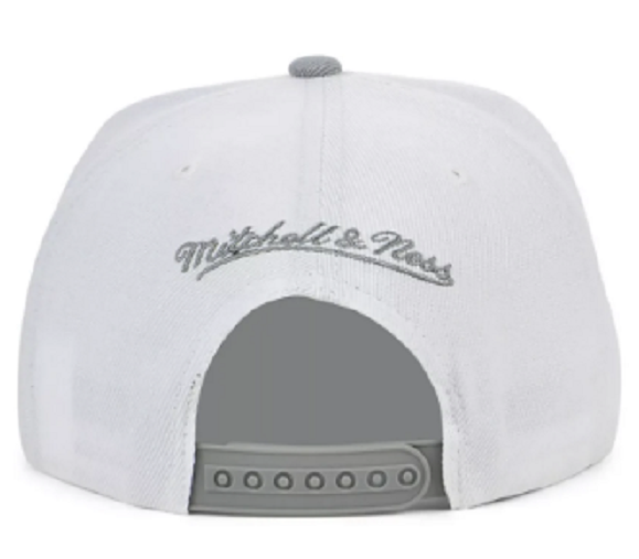 Toronto Raptors Mitchell & Ness Cool Gray 7 Snapback Hat