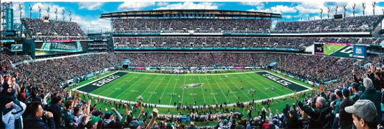 Phialdelphia Eagles Masterpieces 1000 Piece Center View Panoramic Jigsaw Puzzle