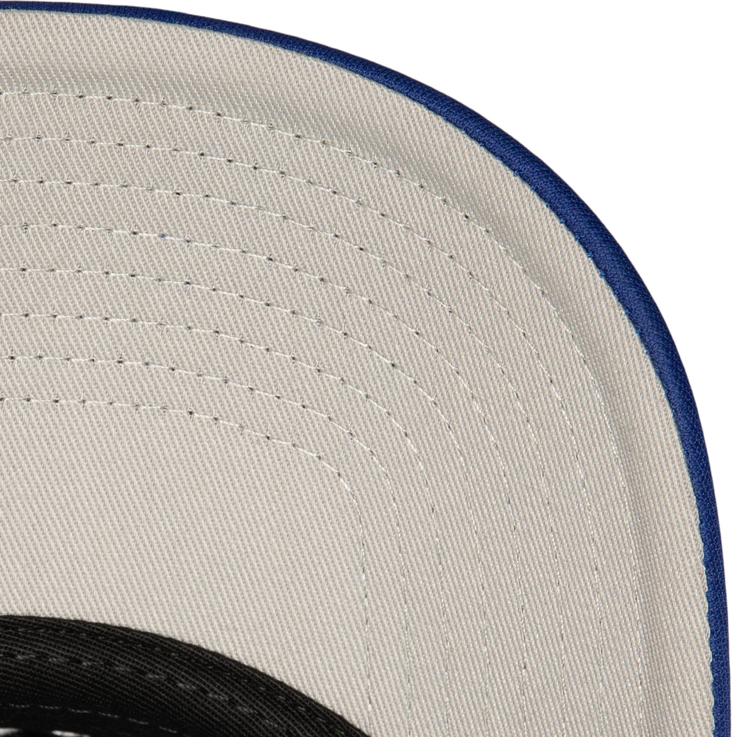 Los Angeles Dodgers  Mitchell & Ness Evergreen Royal Cooperstown Foam Trucker Snap Back Hat