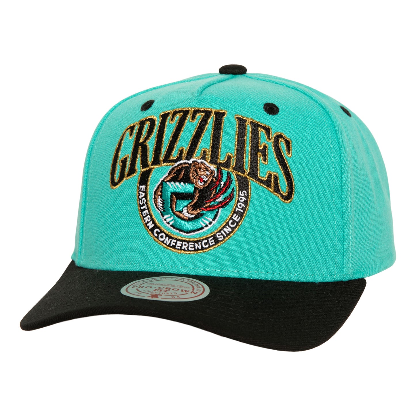 Memphis Grizzlies Mitchell & Ness Crown Jewels Pro Snapback Hat