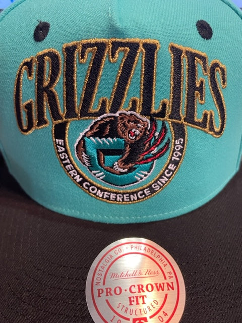 Memphis Grizzlies Mitchell & Ness Crown Jewels Pro Snapback Hat