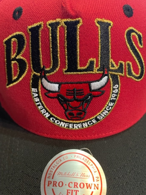 Chicago Bulls Mitchell & Ness Crown Jewels Pro Snapback Hat