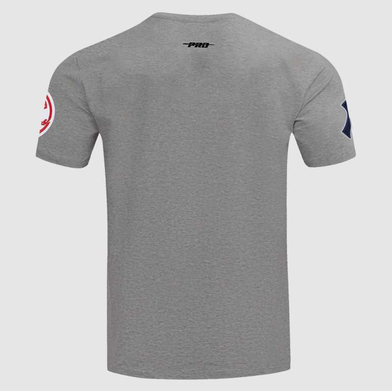 New York Yankees Pro Standard Script Tail T-Shirt- Gray