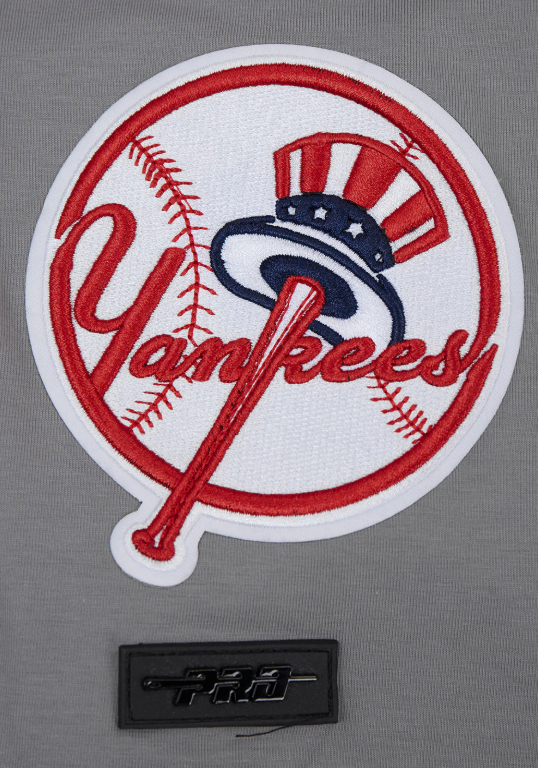 New York Yankees Pro Standard Script Tail T-Shirt- Gray