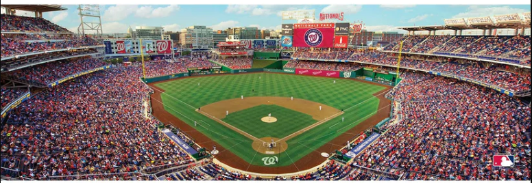 Washington Nationals Masterpieces 1000 Piece Center View Panoramic Jigsaw Puzzle
