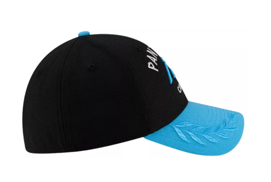 Carolina Panthers New Era 2025 Draft 39THIRTY Flex Hat -Blue/Black