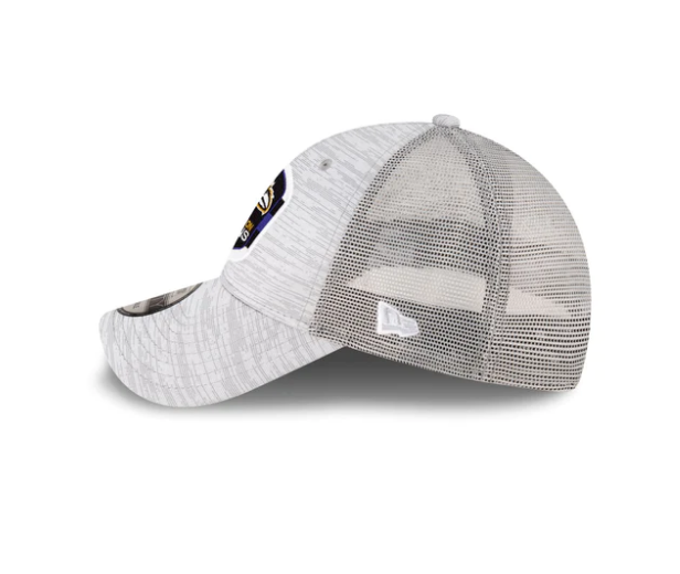Baltimore Ravens 2023 AFC North Division Locker Room Champions 9FORTY Adjustable Hat - Gray