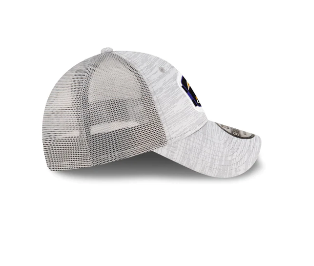 Baltimore Ravens 2023 AFC North Division Locker Room Champions 9FORTY Adjustable Hat - Gray