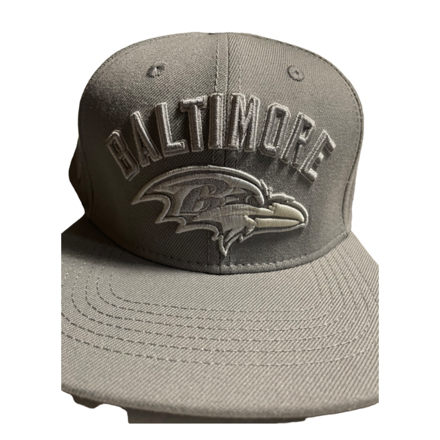 Baltimore Ravens Pro Standard Gray Tonal Native State Snapback