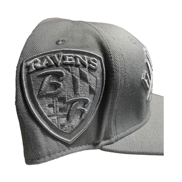 Baltimore Ravens Pro Standard Gray Tonal Native State Snapback