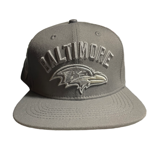 Baltimore Ravens Pro Standard Gray Tonal Native State Snapback
