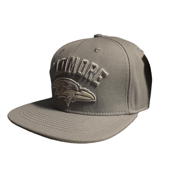 Baltimore Ravens Pro Standard Gray Tonal Native State Snapback