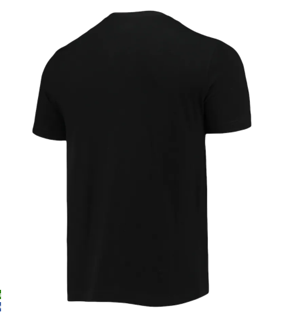 Carolina Panthers New Era State Pride T-Shirt - Black