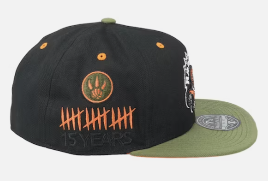 Toronto Raptors Mitchell & Ness Flight Script Fitted Hat