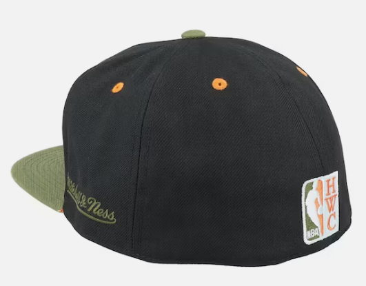 Toronto Raptors Mitchell & Ness Flight Script Fitted Hat
