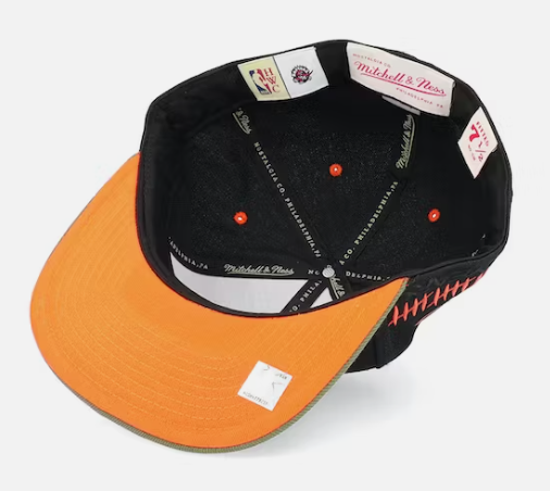 Toronto Raptors Mitchell & Ness Flight Script Fitted Hat