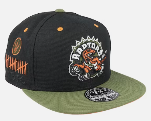 Toronto Raptors Mitchell & Ness Flight Script Fitted Hat