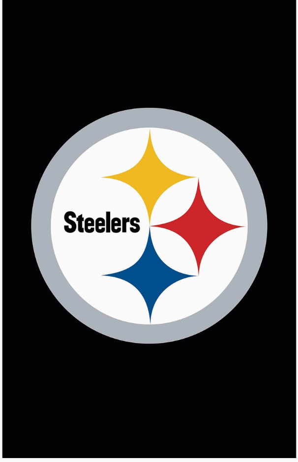 Pittsburgh Steelers Evergreen Applique Delux 28"x44" House Flag